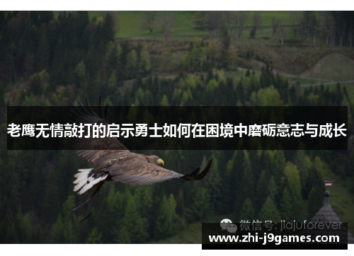 老鹰无情敲打的启示勇士如何在困境中磨砺意志与成长